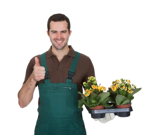 Jovem jardineiro feliz segurando flores — Fotografia de Stock