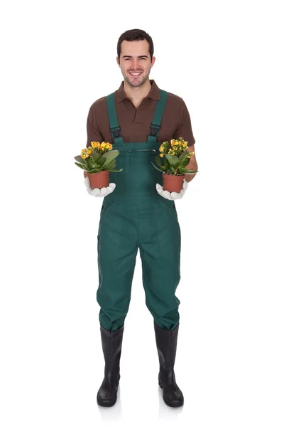 Jovem jardineiro feliz segurando flores — Fotografia de Stock