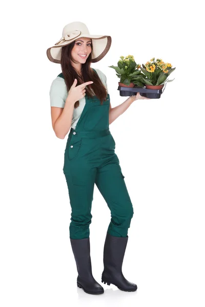 Hermosa mujer feliz sosteniendo planta de flores — Foto de Stock
