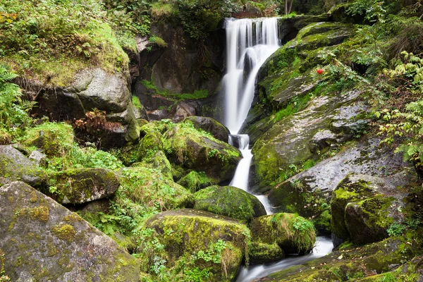 Triberg Waterfalls — Stock Photo, Image