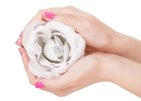 Close-up de mãos segurando rosas brancas — Fotografia de Stock