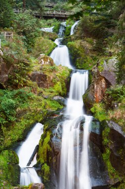 Triberg şelaleler