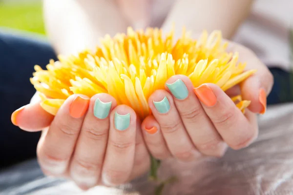 Close Up van vrouw handen op bloem — Stockfoto