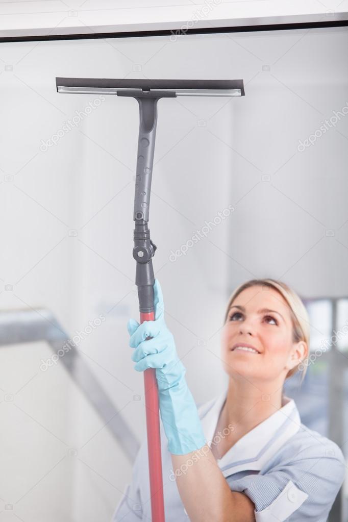 Woman Cleaning With Rubber Window Cleaner