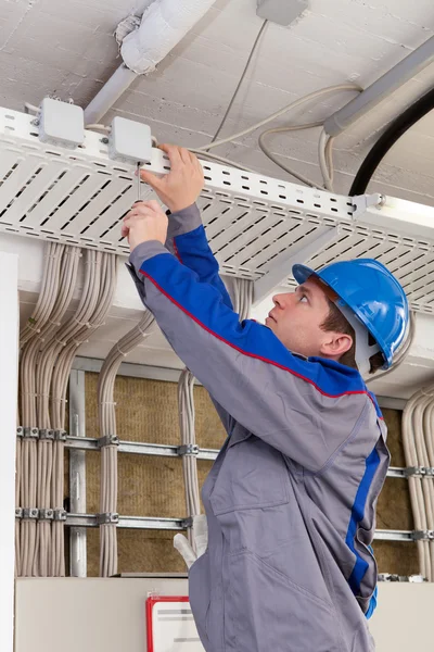 Male worker working in office — Stock Photo, Image