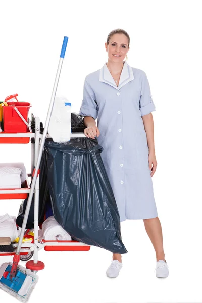 Female Cleaner With Cleaning Equipment — Stock Photo, Image