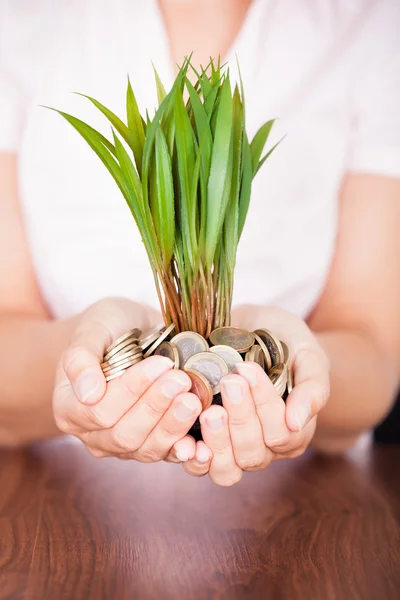 Ręka trzyma monetę z roślin — Zdjęcie stockowe