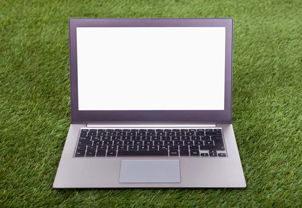 Laptop op groen gras — Stockfoto