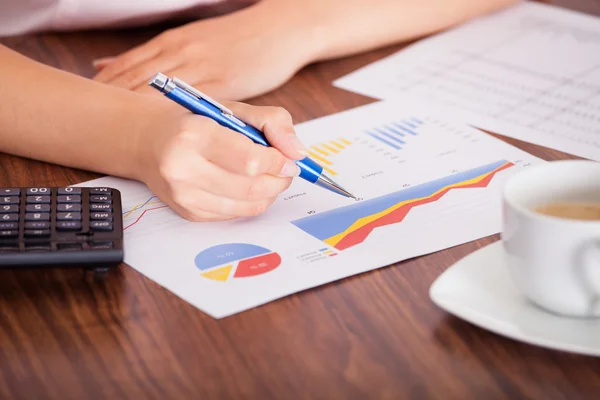 Woman Analyzing The Financial Data — Stock Photo, Image