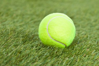 Tenis topu yeşil sahada