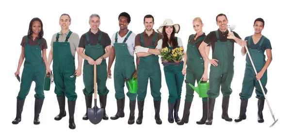 Група працівників, садівник — стокове фото