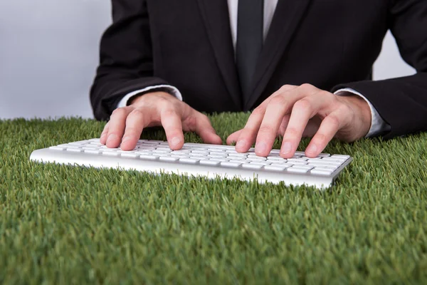 Typen op toetsenbord over gras zakenman — Stockfoto