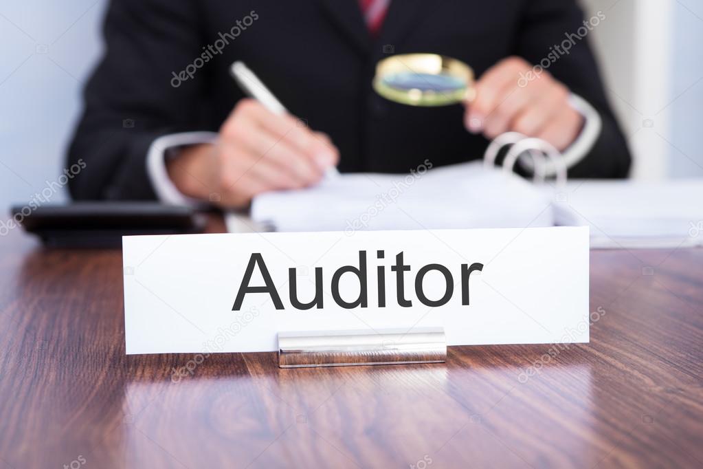 Auditor Looking At Document