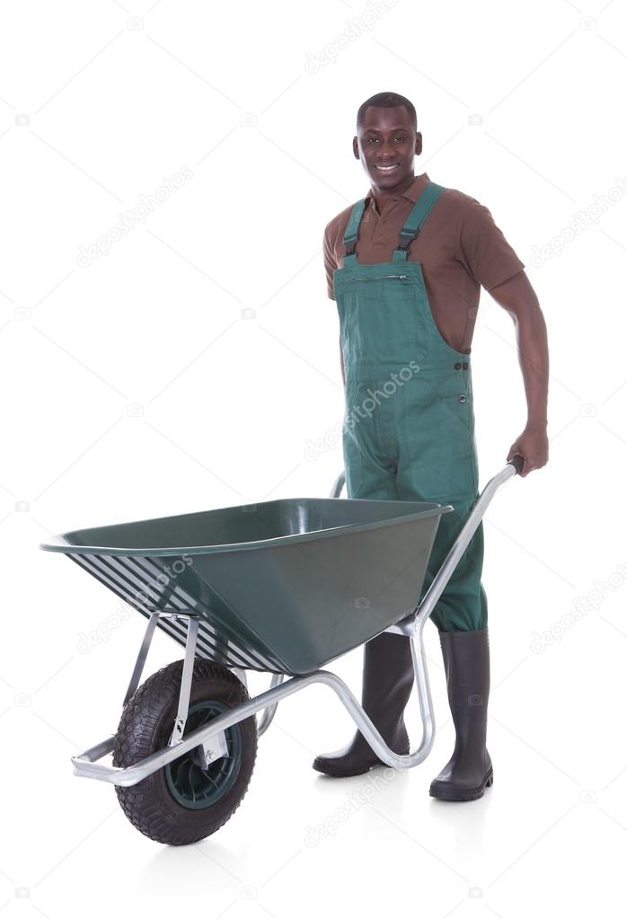 Male Gardener With Wheelbarrow