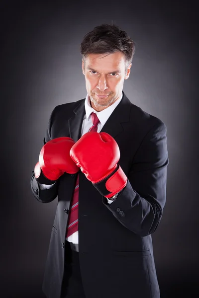 Homme d'affaires en gants de boxe — Photo