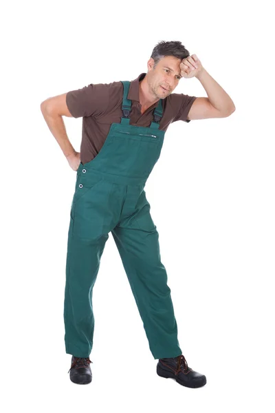 Male Gardener Suffering From Back Pain — Stock Photo, Image