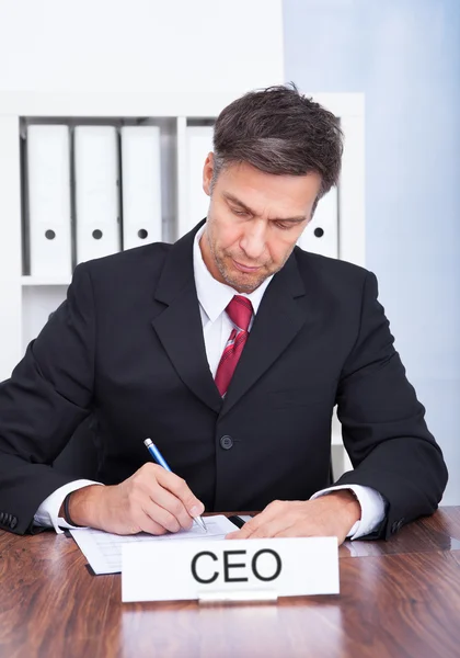 Male Ceo Working At Office — Stock Photo, Image