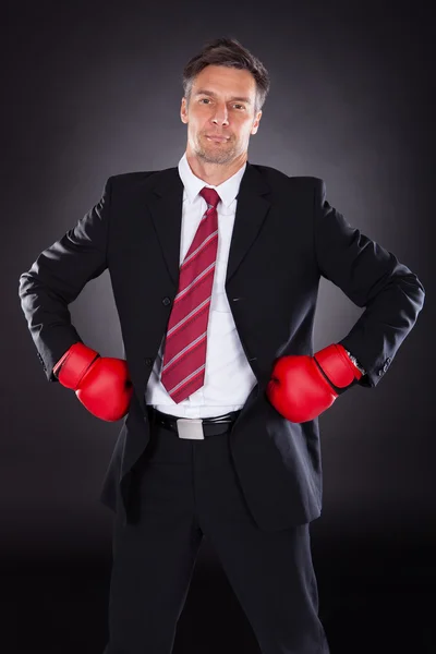 Homme d'affaires en gants de boxe — Photo