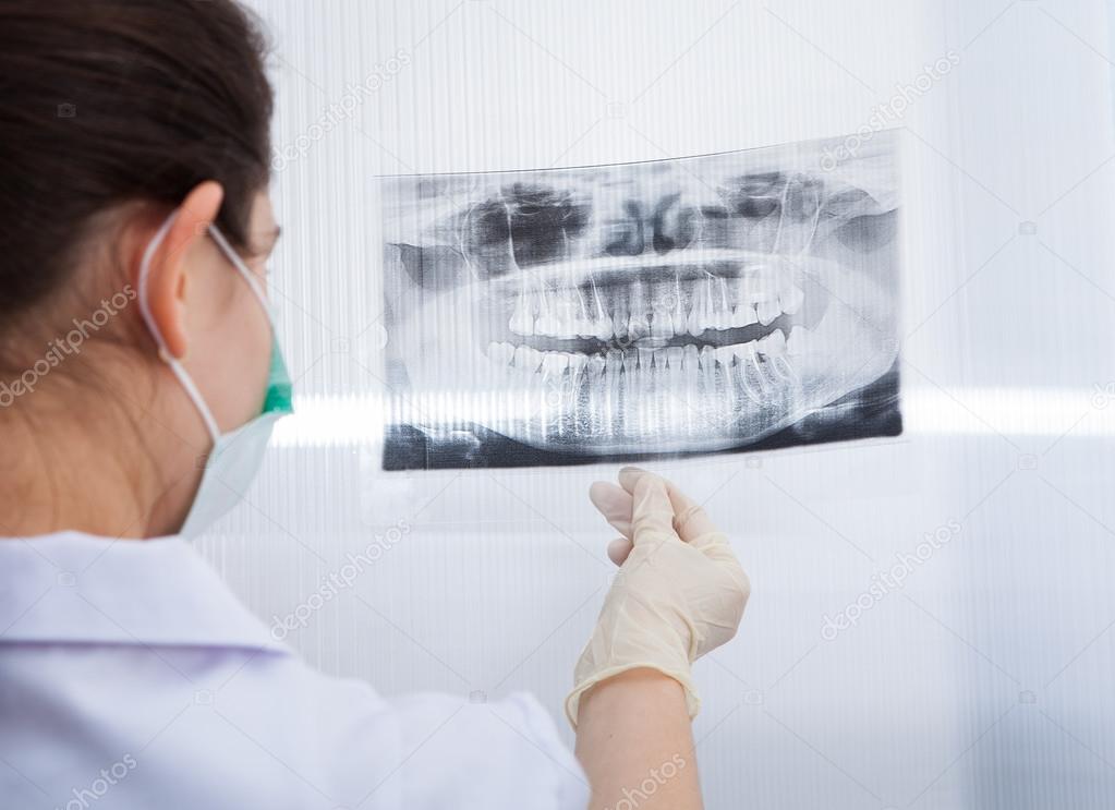 Female Dentist Looking At Dental Xray