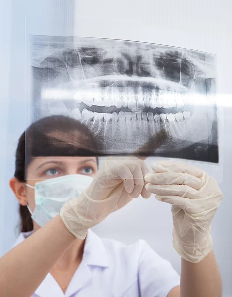 Stomatologist wijzend op kaak xray — Stockfoto