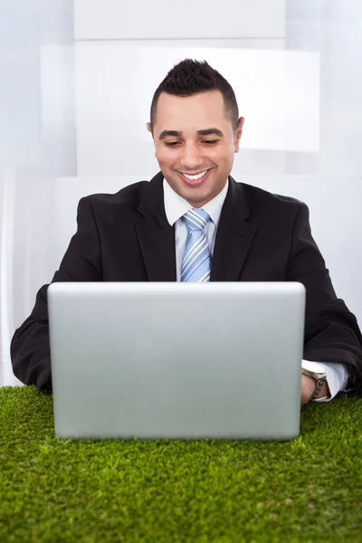 Zakenman met behulp van laptop op gras in office — Stockfoto