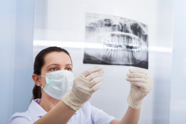 Female Dentist Looking At Dental Xray clipart