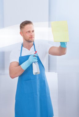 cam bir bölme temizlik süpürgesi