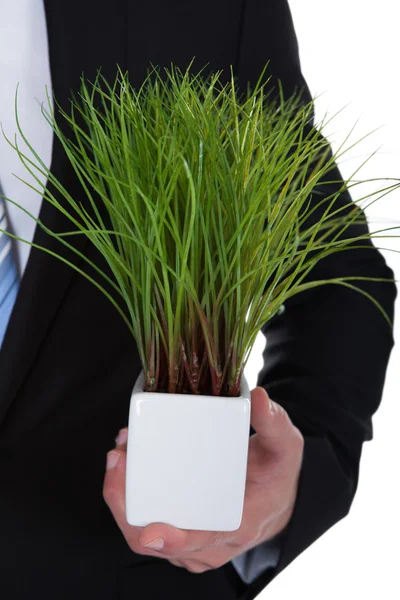 Бизнесмен с зеленым растением в кармане — стоковое фото