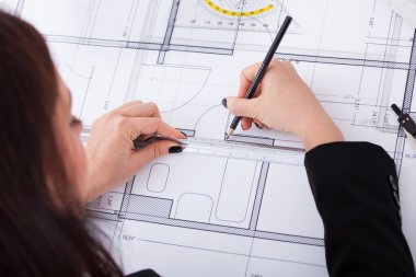 iş kadını yapma planı