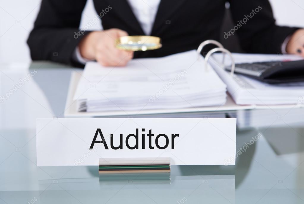 Auditor Scrutinizing Financial Documents