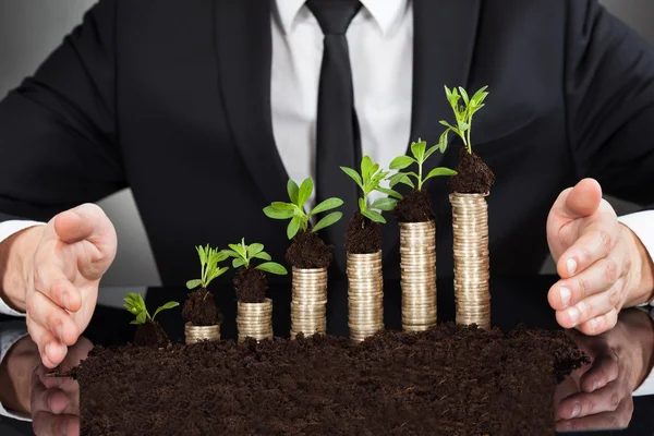 Zakenman handen bescherming munten in aanplant — Stockfoto