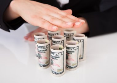 iş kadını dolarlarına koruyucu