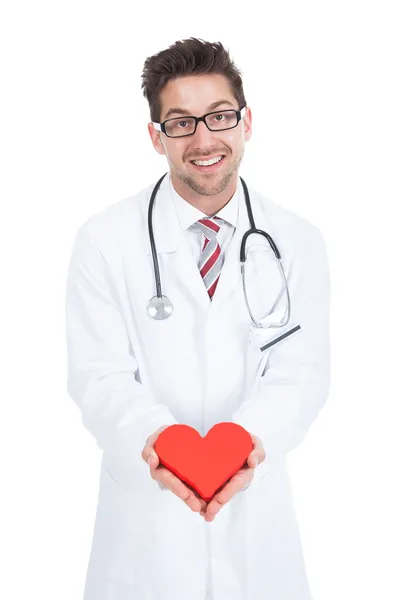 Male Doctor Holding Heart Stock Picture