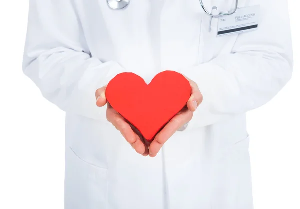 Доктор держит сердце — стоковое фото