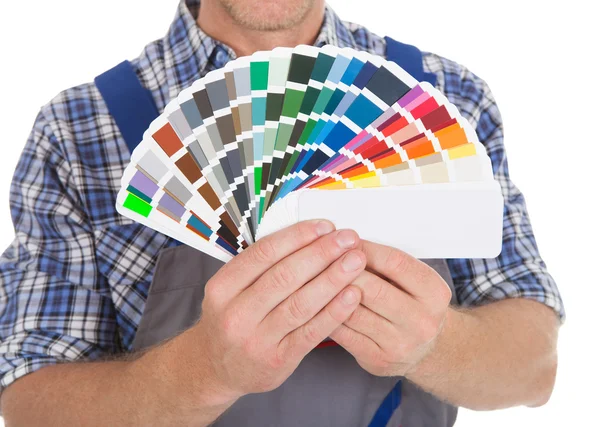 Showing Fanned Color Swatches — Stock Photo, Image