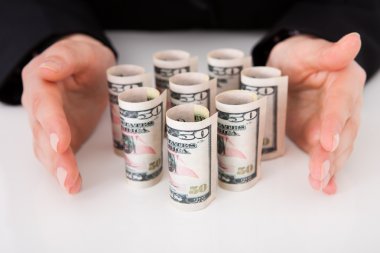 iş kadını dolarlarına koruyucu