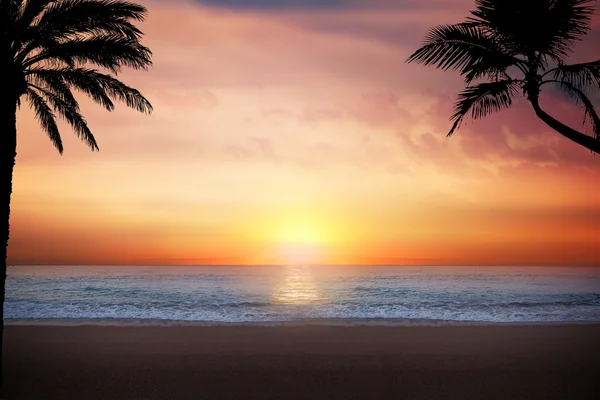 Pláž západ slunce — Stock fotografie