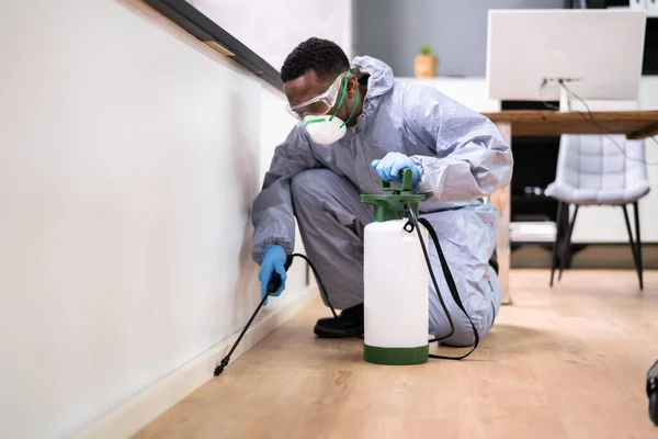 Schädlingsbekämpfer Versprüht Termiten Pestizid Büro — Stockfoto