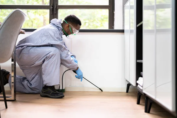 Exterminador Controle Pragas Homem Pulverizando Pesticida Térmita Escritório — Fotografia de Stock