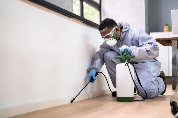 Pest Control Exterminator Man Spraying Termite Pesticide Office — Stock Photo, Image