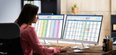 Analist Bilgisayarda İş Veri Denetleme Hesap Tablosu