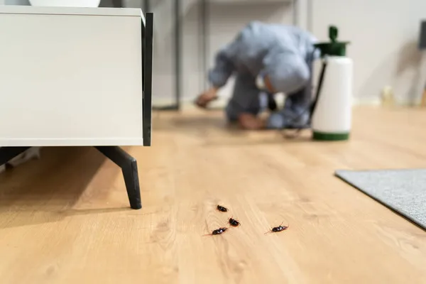 Pest Control Exterminator Man Spraying Termite Pesticide Home — Stok Foto