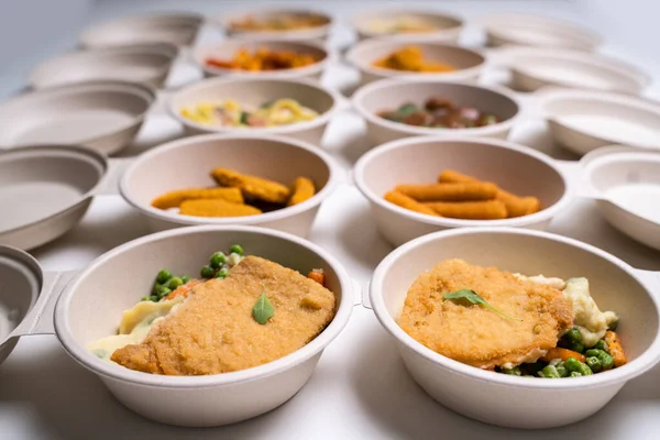 Batch Meal Prep Cooking Prepared Takeaway Lunch — Stock Photo, Image