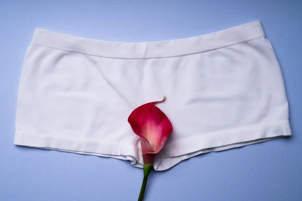 Soins Santé Pour Femmes Sous Vêtements Pour Adultes Concept Intime — Photo