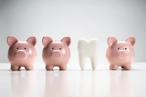 Стоматологічні Стоматологічні Витрати Страхування Від Зубів — стокове фото