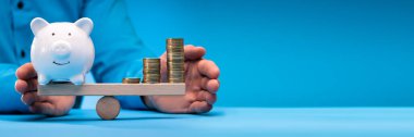 Para Değeri ve Domuz Bankasının Ölçekli Dengesi
