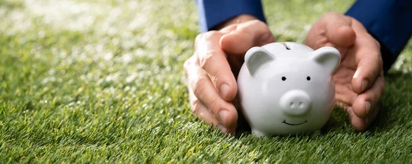 Pension Income Protection Money Piggybank Insurance — Stock Photo, Image