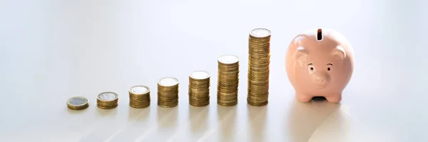 Piggybank Money Investment Salary Business Tax — Stock Photo, Image