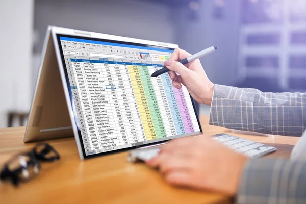 Woman Employee Analyst Working Spreadsheet Software — 스톡 사진