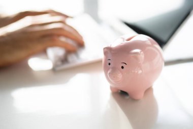 Kumbarada para biriktir. İnternet Kullanımı Finansal Bütçe Kaydediliyor